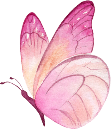 Pink butterfly Watercolor illustration